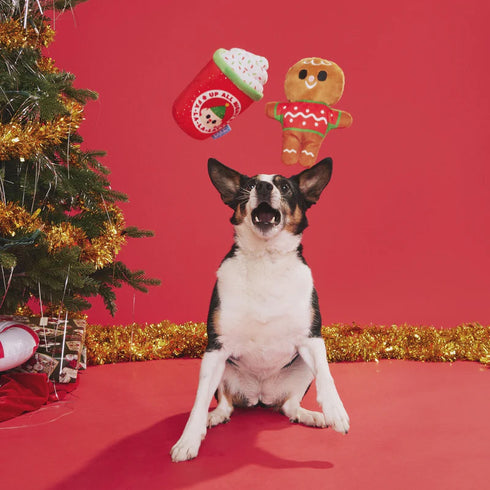 Bark Ginger Brew Crew Dog Toy - XS/S